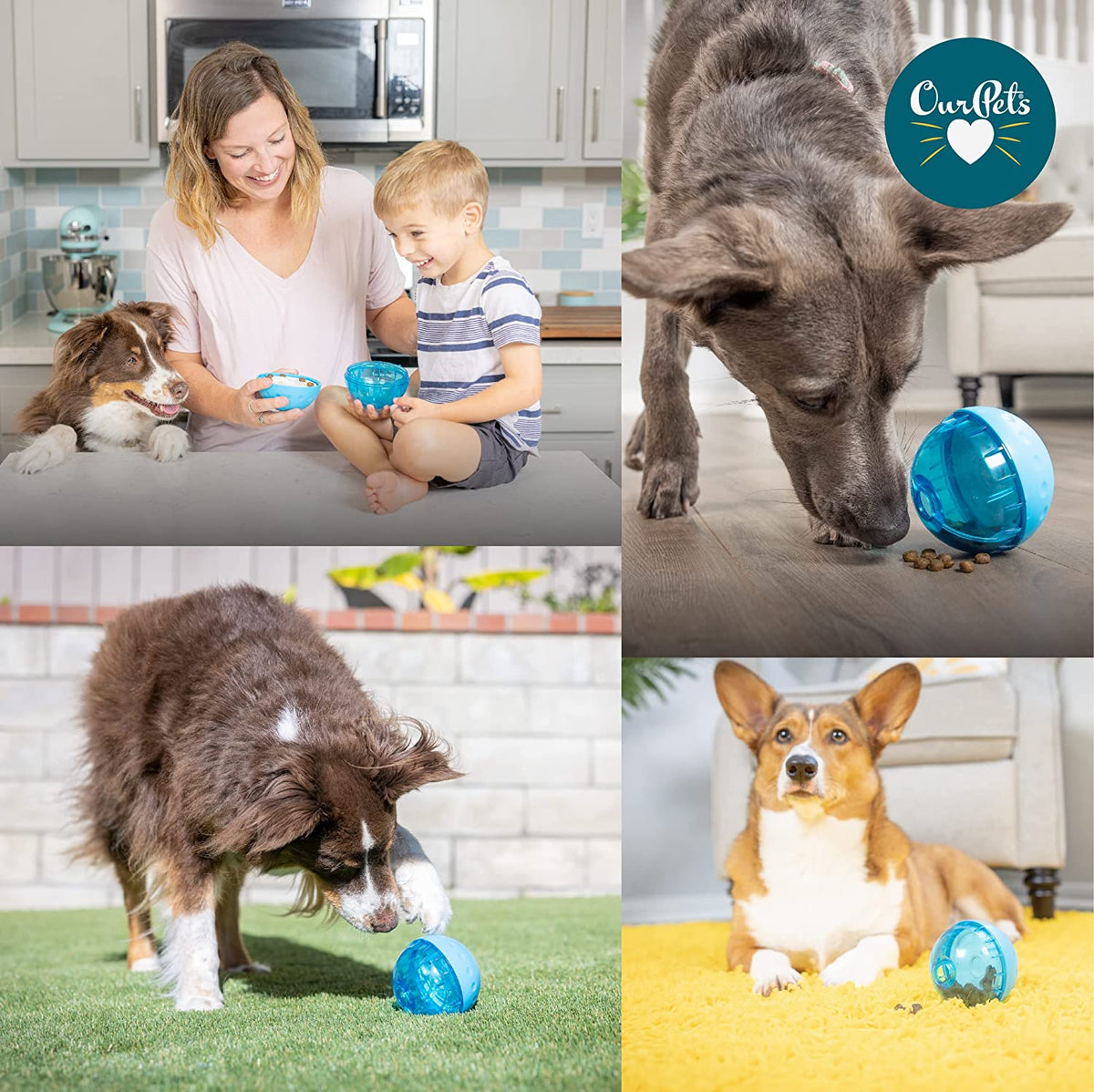 Smarter Toys IQ Treat Ball for Larger Dogs - 4" - Assorted Colors