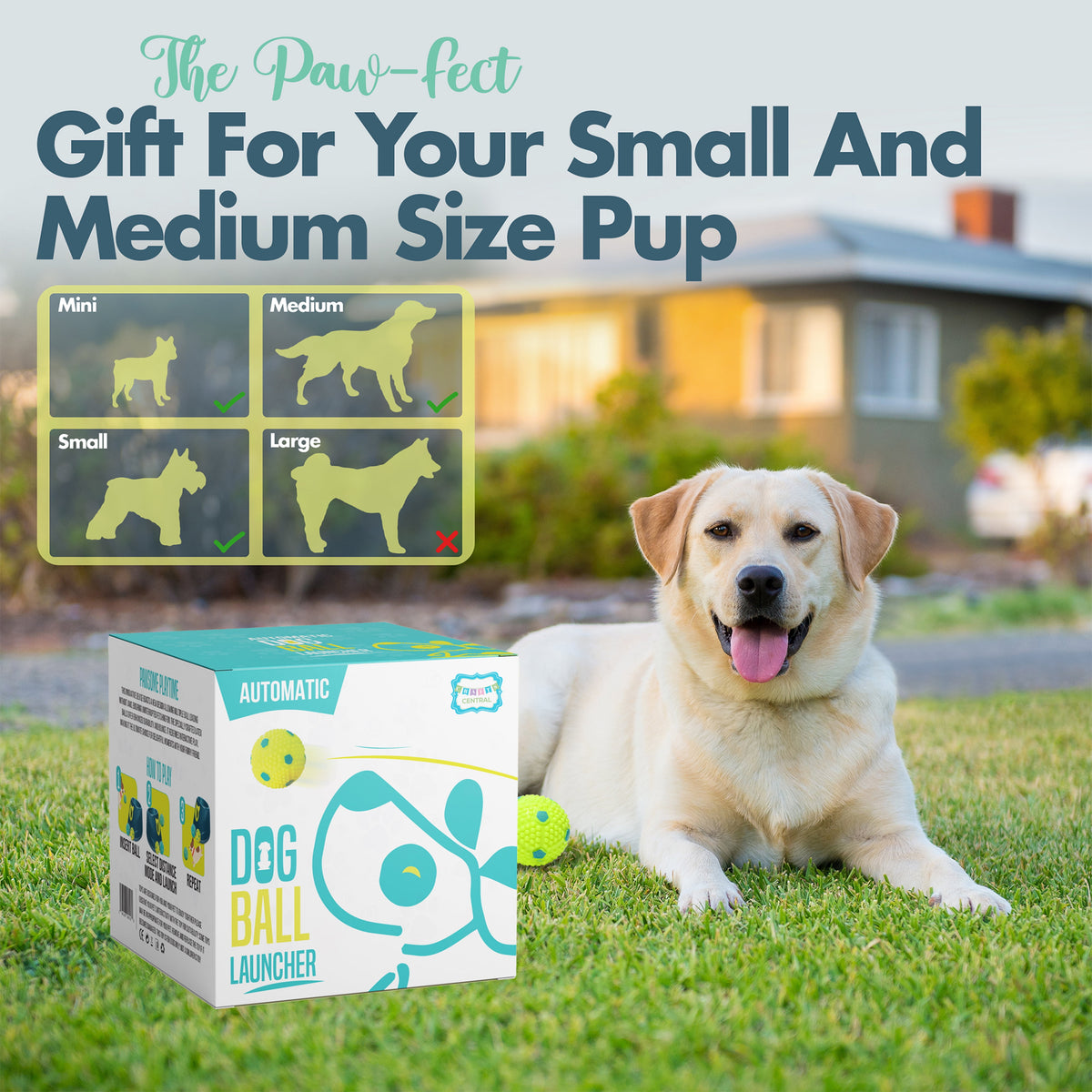 Automatic Dog Ball Launcher - Interactive Fetch Machine for Small to Medium Dogs, Includes 6 Latex Balls and Dual Power Supply